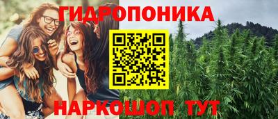 a pvp Чебоксары