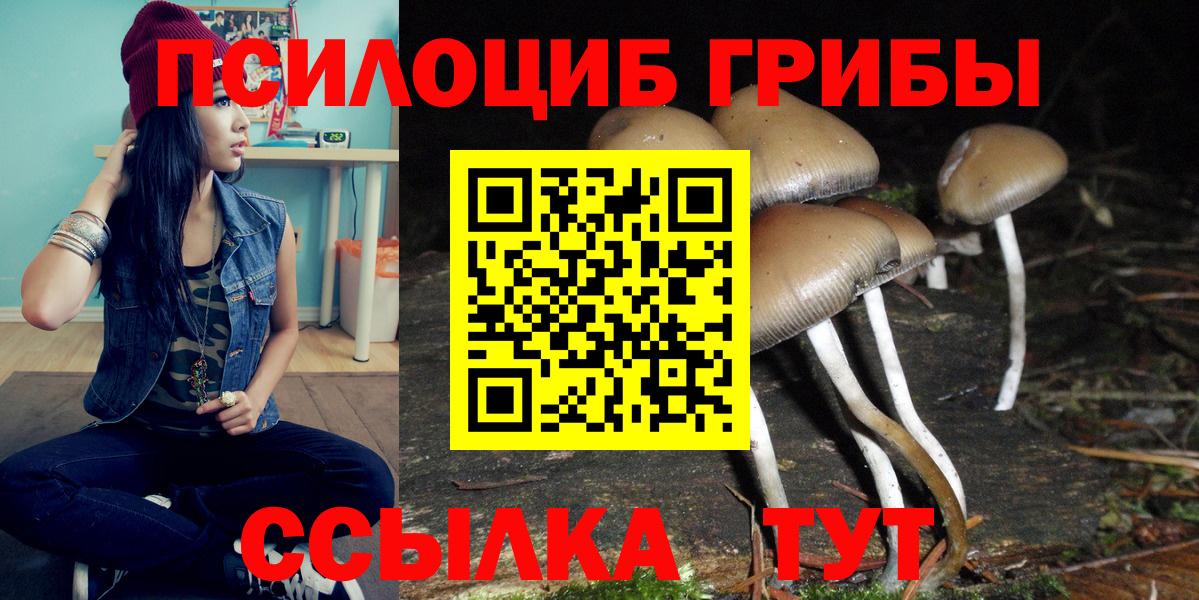 купить наркотики цена  Псилоцибиновые грибы ЛСД  Вход с VPN  Братск 