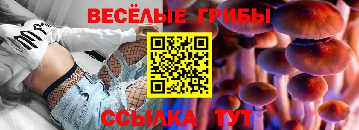 Псилоцибиновые грибы Cubensis Братск